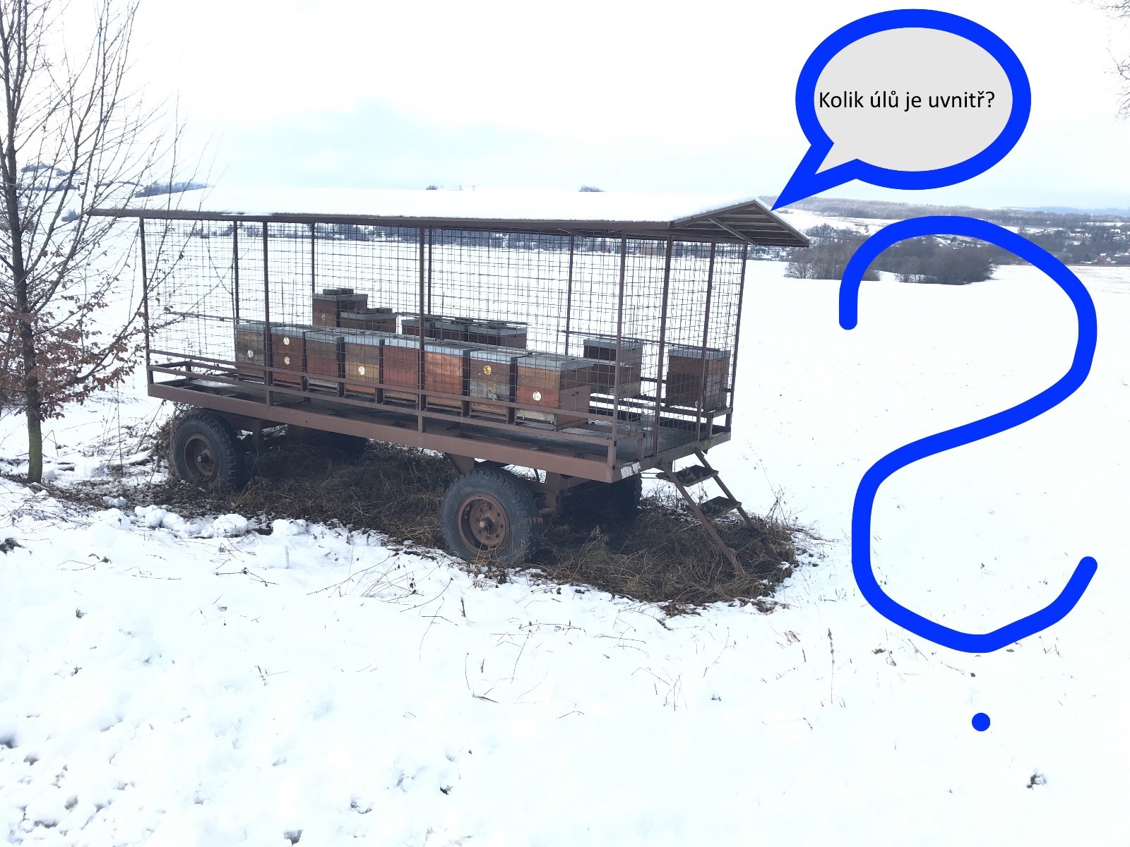 Zjišťovačka - Lišky - únor 2021