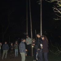 Listopadová oddílovka