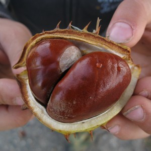 Vlčí přespání na boudě s výletem do Afriky