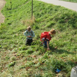 Vlčí přespání na boudě s výletem do Afriky