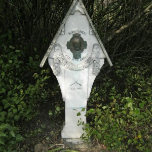 Vlčí přespání na boudě s výletem do Afriky