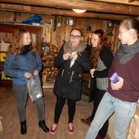 Listopadová oddílovka