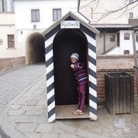 Veverčí výprava na hrad Špilberk