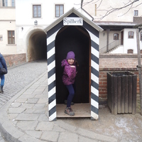 Veverčí výprava na hrad Špilberk