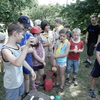 Závěrečná oddílovka