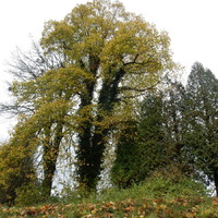 Čtyřdenní oddílová výprava na Březiny