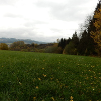 Čtyřdenní oddílová výprava na Březiny