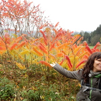 Čtyřdenní oddílová výprava na Březiny