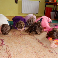 Čtyřdenní oddílová výprava na Březiny