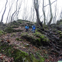 Kobry v Mariánském údolí