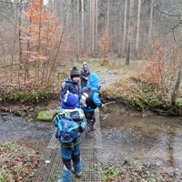 Kobry v Mariánském údolí