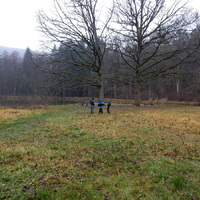 Kobry v Mariánském údolí