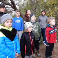 Listopadová oddílovka