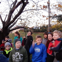 Listopadová oddílovka