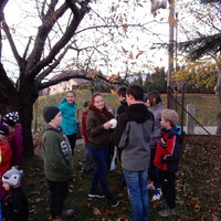 Listopadová oddílovka