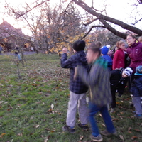 Listopadová oddílovka