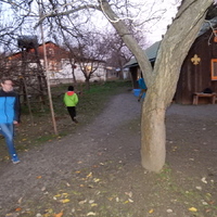 Listopadová oddílovka