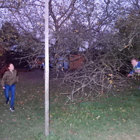 Listopadová oddílovka