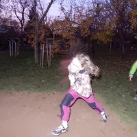 Listopadová oddílovka