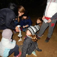 Listopadová oddílovka