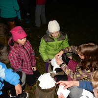 Listopadová oddílovka