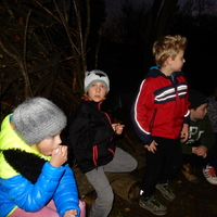 Listopadová oddílovka