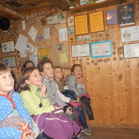 Listopadová oddílovka