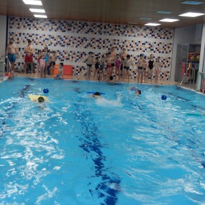 Oddílovka v bazéně