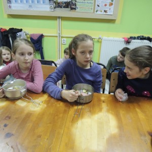 Výprava do Ratíškovic