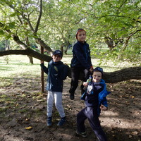 Říjnová oddílovka