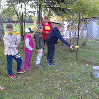 Říjnová oddílovka