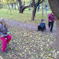 Říjnová oddílovka