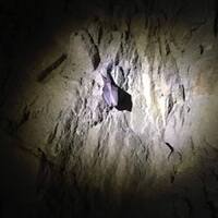 Sršní výprava do jeskyní