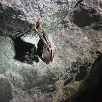 Sršní výprava do jeskyní