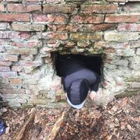 Sršní výprava do jeskyní