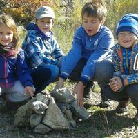 Svišti "na lamách"