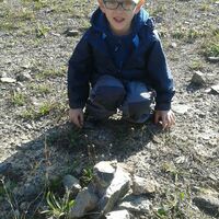 Svišti "na lamách"