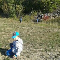 Svišti "na lamách"