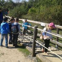 Svišti "na lamách"