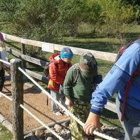 Svišti "na lamách"