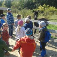 Svišti "na lamách"