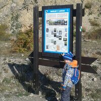 Svišti "na lamách"