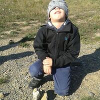 Svišti "na lamách"