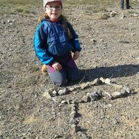 Svišti "na lamách"