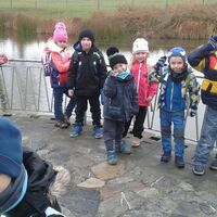 Sviští putování po Brně