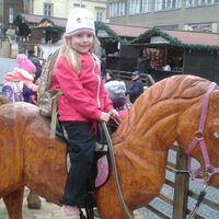 Sviští putování po Brně