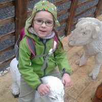 Sviští putování po Brně