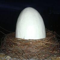 Svišti v Brunu a spaní na Boudě