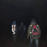 Tygří noční bloudění