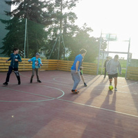 Tygří speciální schůzka